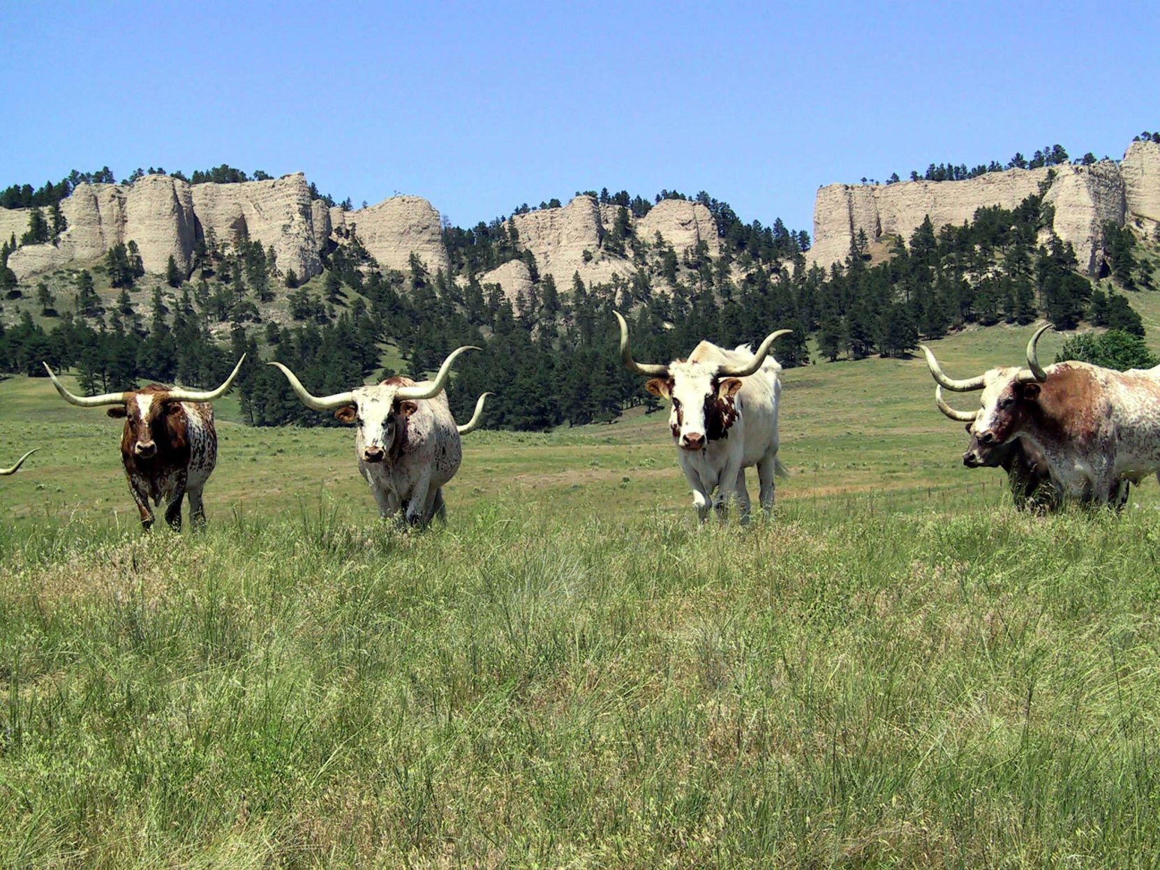 Fort Robinson State Park